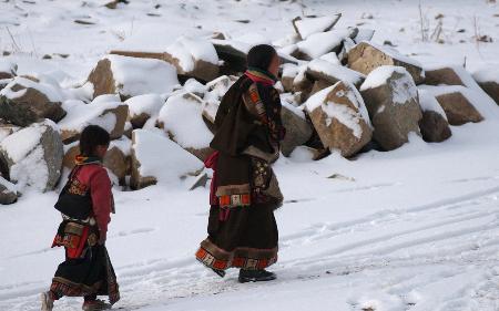 �M�D�����C�m�ݵȵس��F(xi��n)�󷶇���ѩ