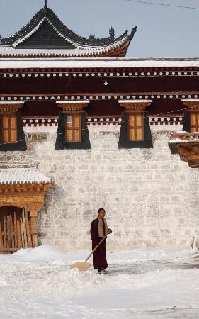 �M�D�����C�m�ݵȵس��F(xi��n)�󷶇���ѩ