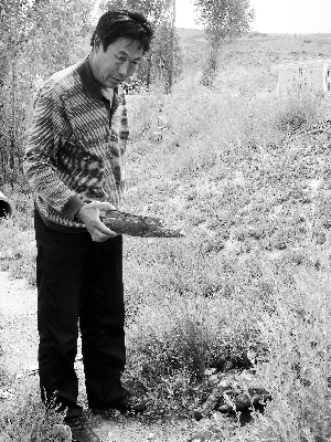 �������T(m��n)�������߼Ҍٷٟ��^(gu��)��ľ�����E߀��