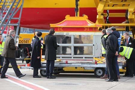 �Ї�����؈�ֱ����r��Ԫ�׼��Y�� �����H�ԽәC(j��)