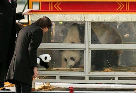 �Ї�����؈�ֱ����r��Ԫ�׼��Y�� �����H�ԽәC(j��)