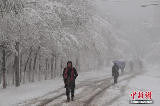 4��23��������ľ�R����һ����ѩ����?sh��)�����Q�@����ѩ̫�����񡱡��������ľ�R��ߜ�߀��24�����M�۵ľG�⣬���Մt��ѩ���w����(j��)����ľ�R�����_��Ϣ��Ŀǰ�ǅ^(q��)�ז|��ɽ�Ͻ��ѳ��F(xi��n)�󵽱�ѩ���۷e��ѩ���_�����������R���� �z