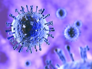 H1N1���в���