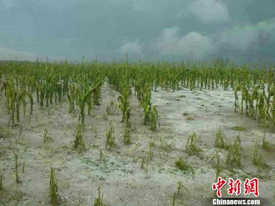 ���C�c�(y��ng)�ֵ�������u����������ϱ��򠀣��D��