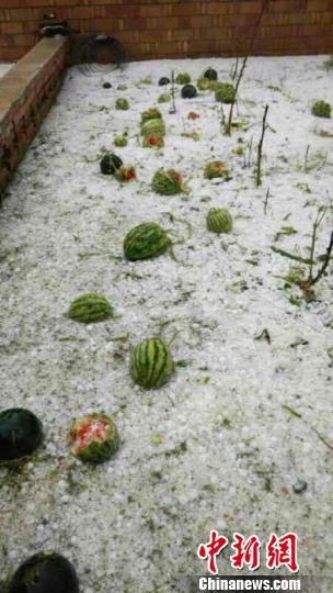 ���C�c�(y��ng)�ֵ�������u�� �������ϱ��Ҡ�(�D)