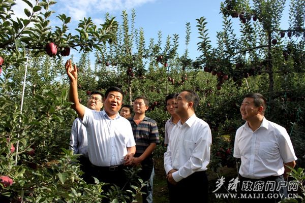 �鿴��ţ�O�����L��r