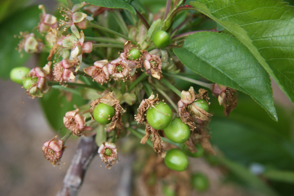 �DƬ�P(gu��n)�I�~