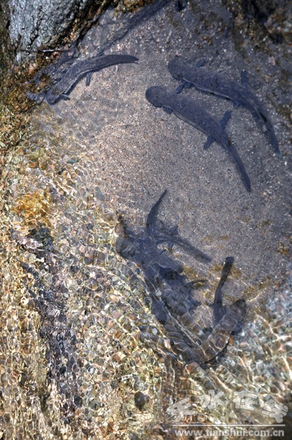 DSC_0155.JPG