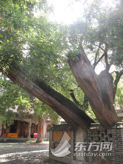 ���M(j��n)��ˮ�Ϲ��¾��^(q��)���{���ѹŸ����Ļ����N(y��n)