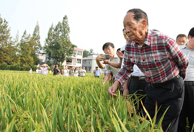 �Y�ψD ���s��ˮ��֮����Ԭ¡ƽ����ĳ�س����������L��r