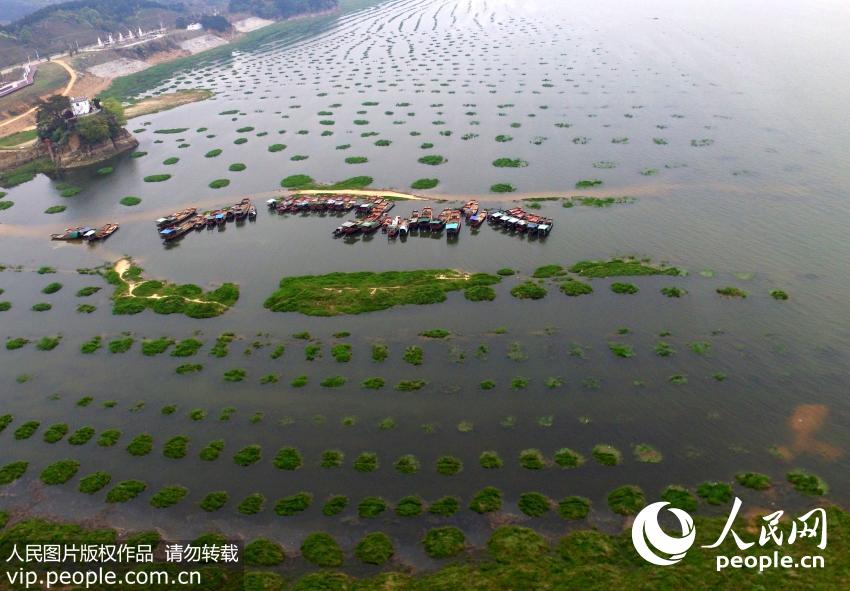 3��28�պ��ĵĝqˮ�еĽ���۶�(y��ng)������ˮ��