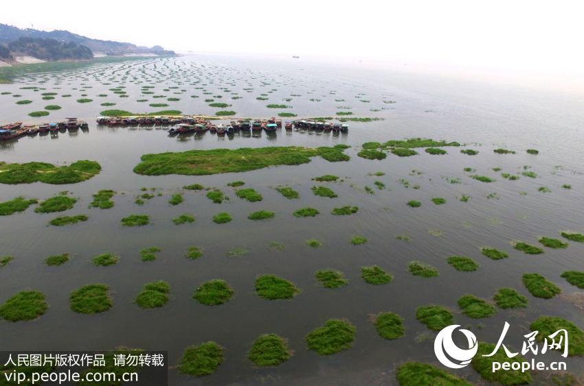 3��28�պ��ĵĝqˮ�еĽ���۶�(y��ng)������ˮ����