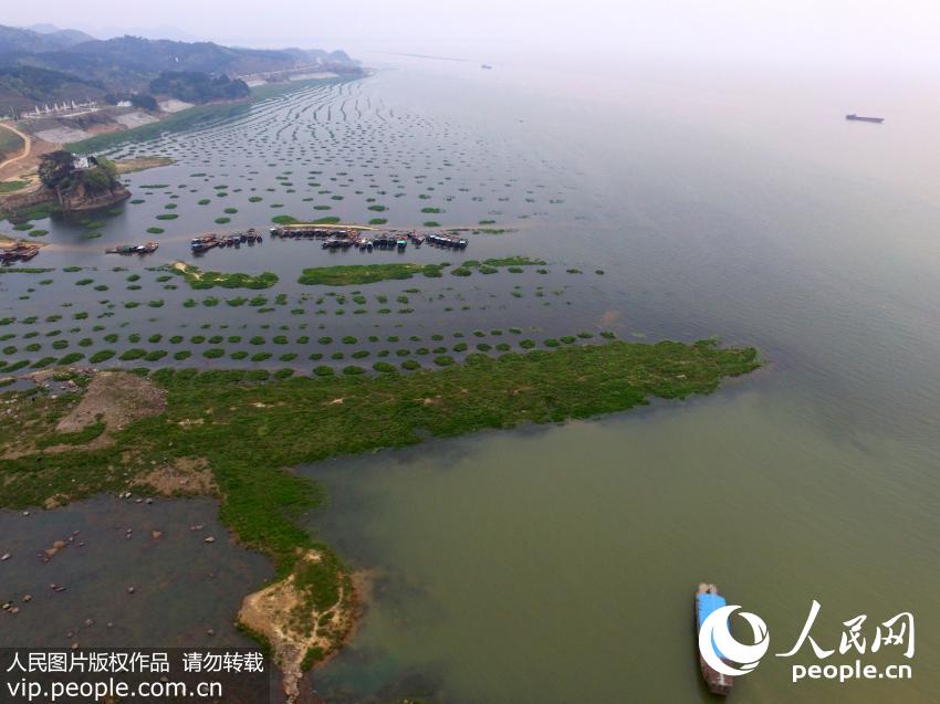 3��28�պ��ĵĝqˮ�еĽ���۶�(y��ng)������ˮ����