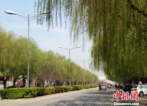 �D�鰲�¿h������ֽ־��� �ڿ��� �z