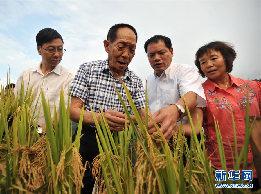 �����Aȫý�^�l���D�Ļ���(d��ng)����12�������д��ң����\(ch��ng)��(b��o)��(gu��)������֪�R(sh��)���ӵĕr(sh��)�����