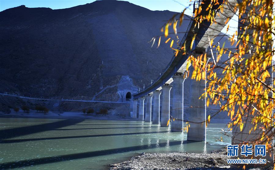 �����Aȫý�^�l���D�Ļ���(d��ng)����5�����A���u(p��ng)Փ�T����Zȡȫ�潨��С�����(hu��)����������^������һՓ؞���䌍(sh��)���뽛(j��ng)��(j��)������(hu��)�h����