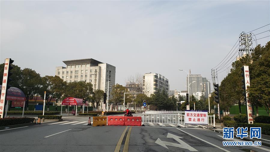 ���D�Ļ��ӣ���2��������������µĺ����S��̽�L�