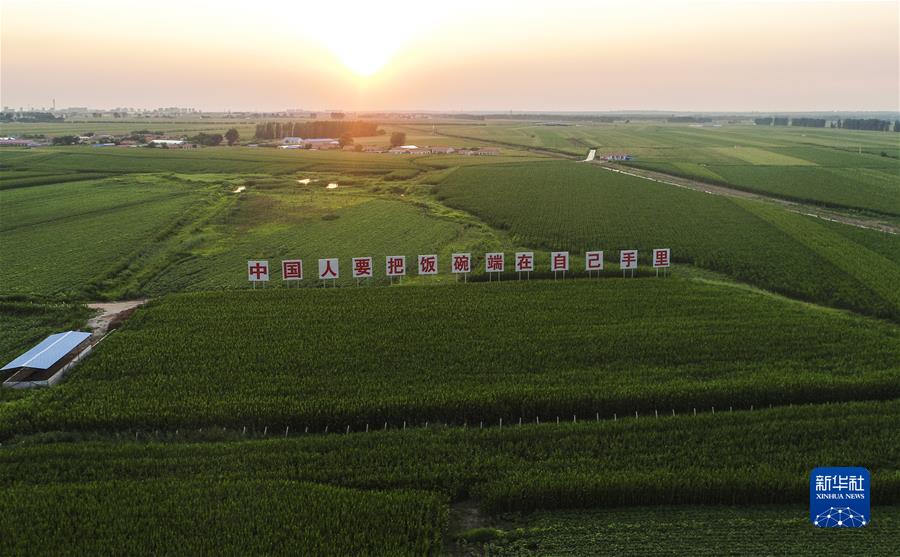 �����Aȫý�^�l���D�Ļ��ӣ���7����(x��)��ƽ�P(gu��n)���P(gu��n)�фڄ��ߵĹ���